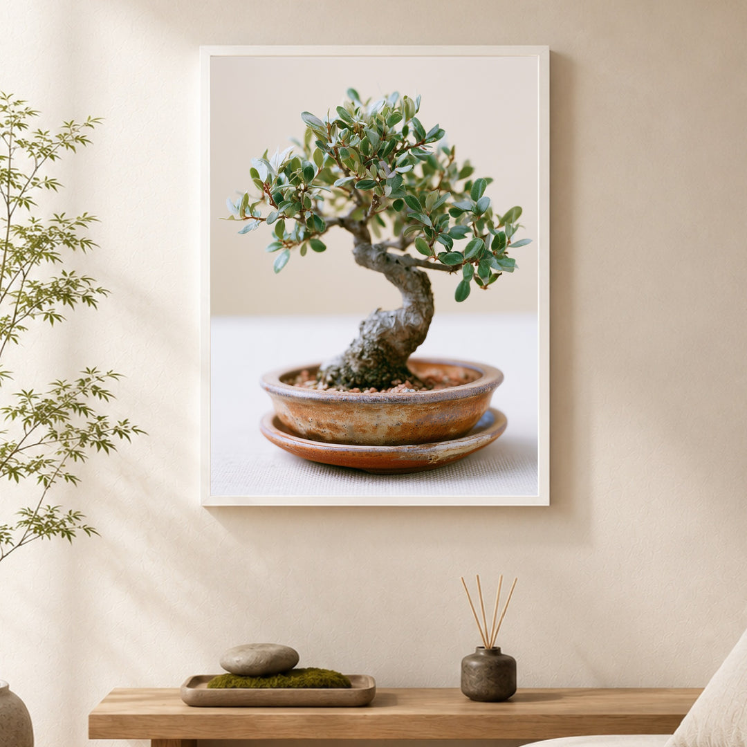 Alter Bonsai im Gleichgewicht Poster – Weißer Rahmen – Produktfoto